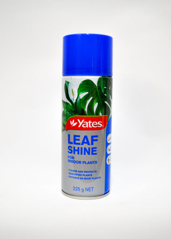 Leaf Shine - Yates