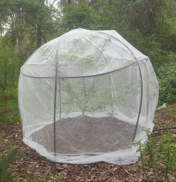 Fruit Tree Exclusion Netting Formed Guildford Garden Centre