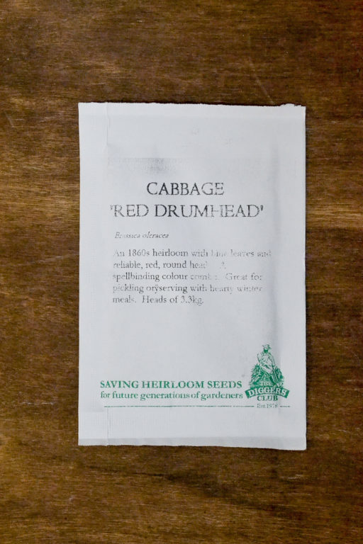 Cabbage Red Drumhead Diggers Seeds Guildford Garden Centre