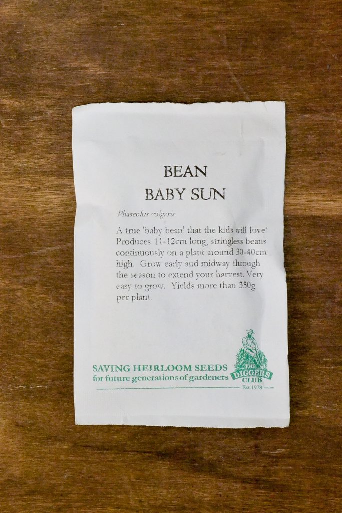 Bean - Baby Sun - Diggers Seeds