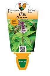 Basil - Cinnamon  - Renaissance Herbs