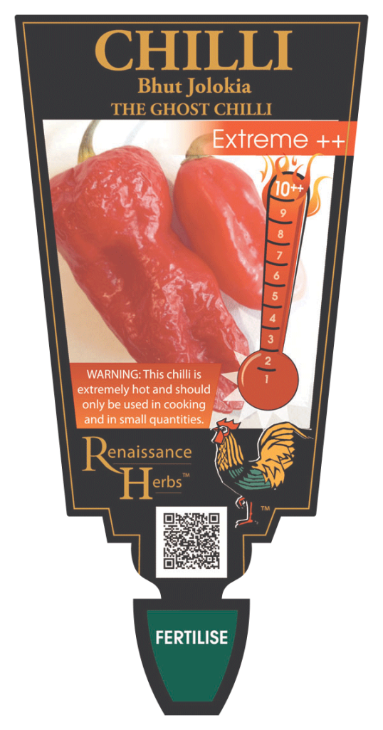 Chilli - Bhut Jolokia - The Ghost Chilli - Red  - Renaissance Herbs