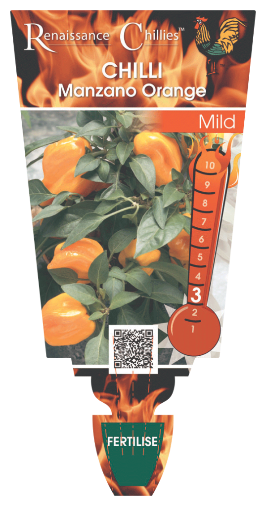 Chilli - Manzano Orange  - Renaissance Herbs