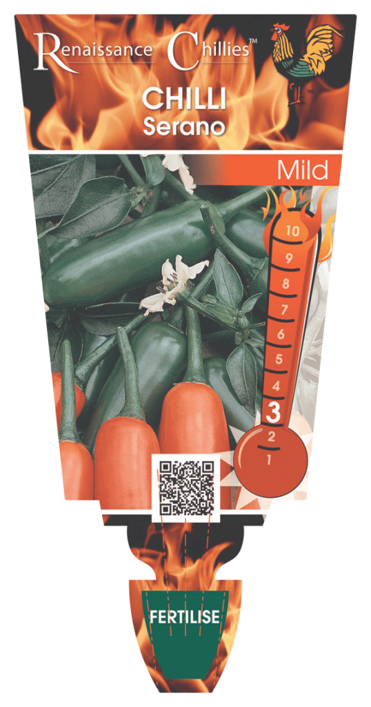 Chilli - Serrano  - Renaissance Herbs