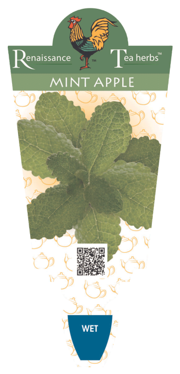 Mint - Apple - Renaissance Herbs