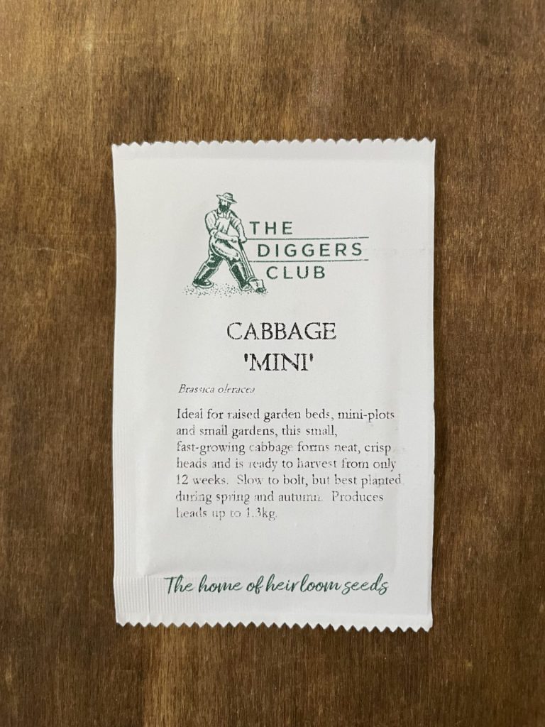 Cabbage - Mini - Diggers Seeds