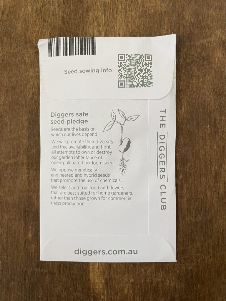 Pumpkin - Galeux D' Eysines - Diggers Seeds - Image 2