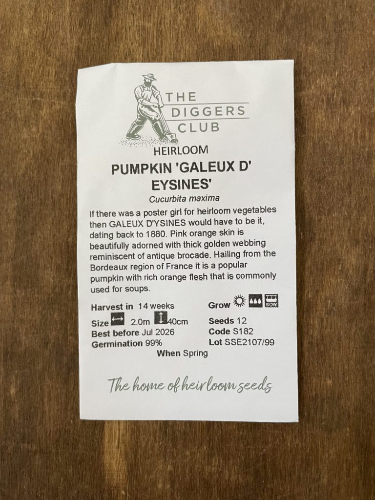 Pumpkin - Galeux D' Eysines - Diggers Seeds