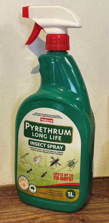 Insect Spray - Pyrethrum Long Life - Ready to Use