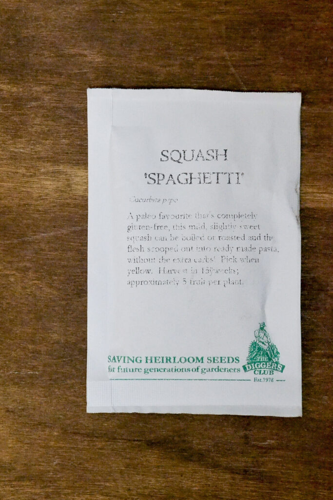 Squash - Spaghetti - Diggers Seeds