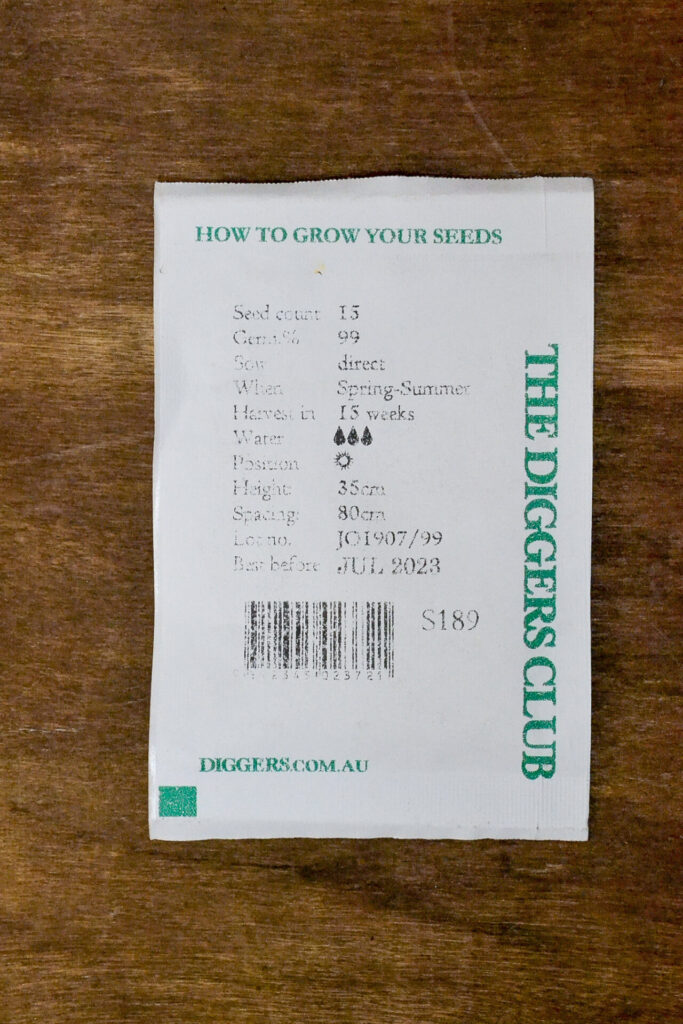 Squash - Spaghetti - Diggers Seeds - Image 2
