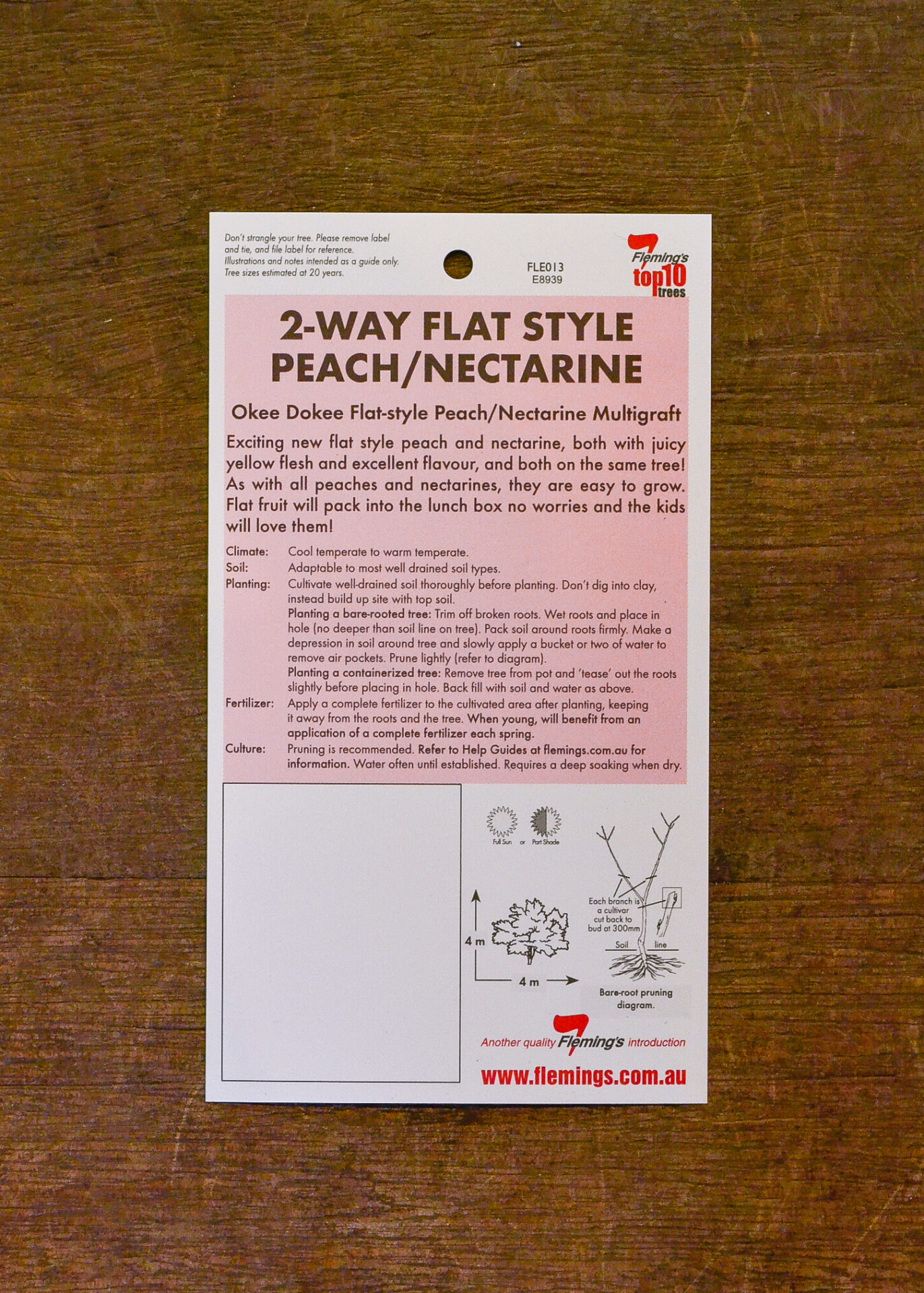 Peach/Nectarine Multi Graft OkeeDokee™ (Donut) Bare Root Guildford Garden Centre