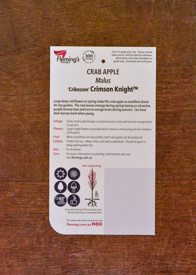 Crab Apple - Crimson Knight™ - Image 2
