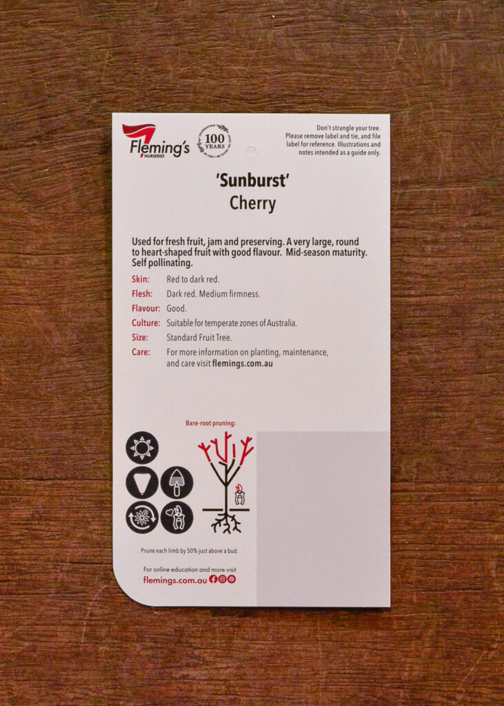 Cherry - Sunburst - Image 2