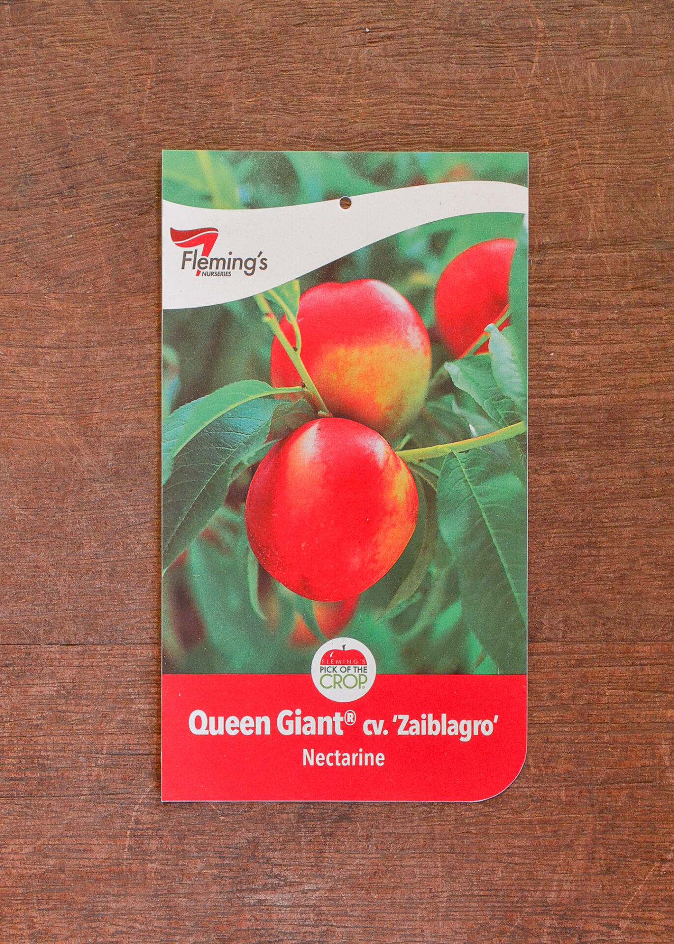 Nectarine Queen Giant® Guildford Garden Centre