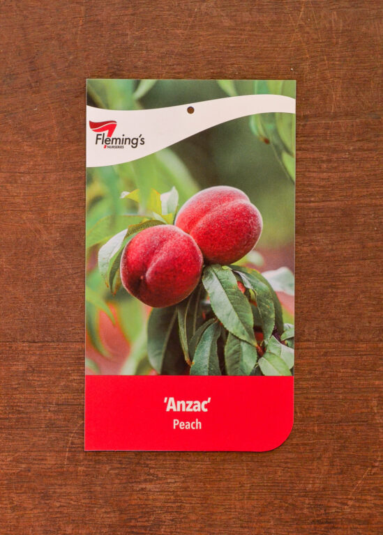 Peach - Anzac