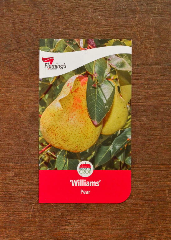 Pear - Williams (syn. Bartlett)