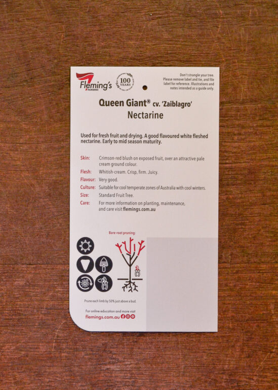 Nectarine Queen Giant® Guildford Garden Centre