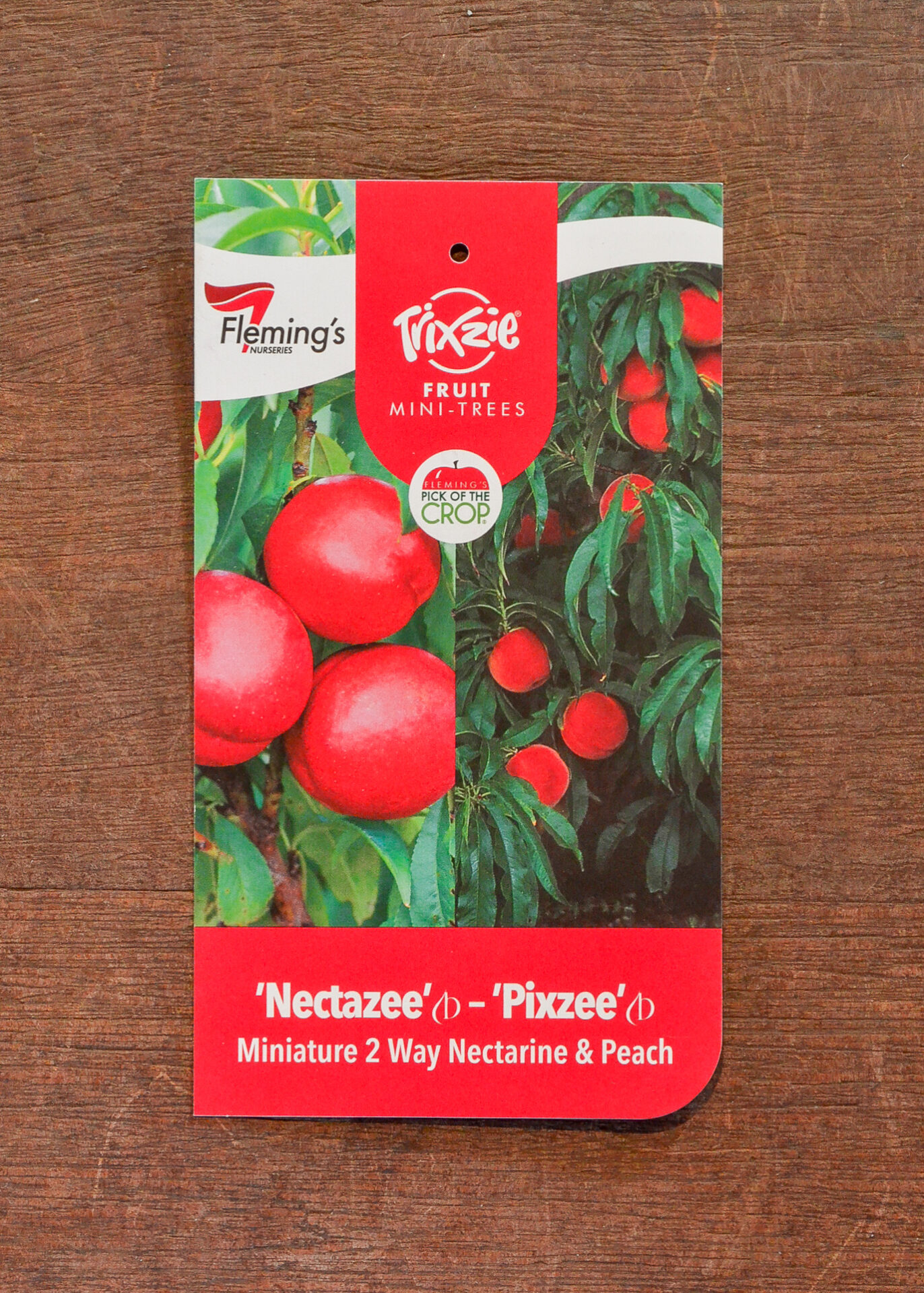 Peach/Nectarine Multi Graft Trixzie® Pixzee/Nectazee Dwarf Guildford Garden Centre