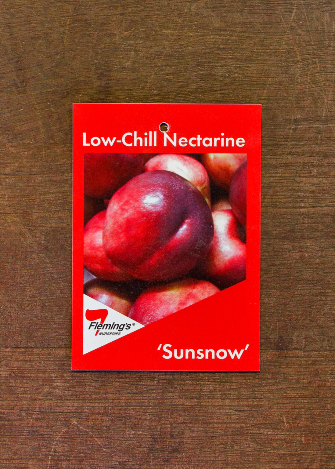 Nectarine Sun Snow Guildford Garden Centre