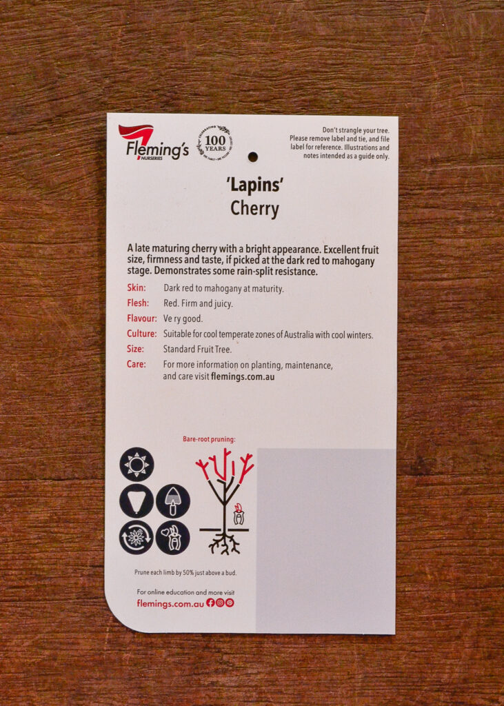 Cherry - Lapins - Image 2