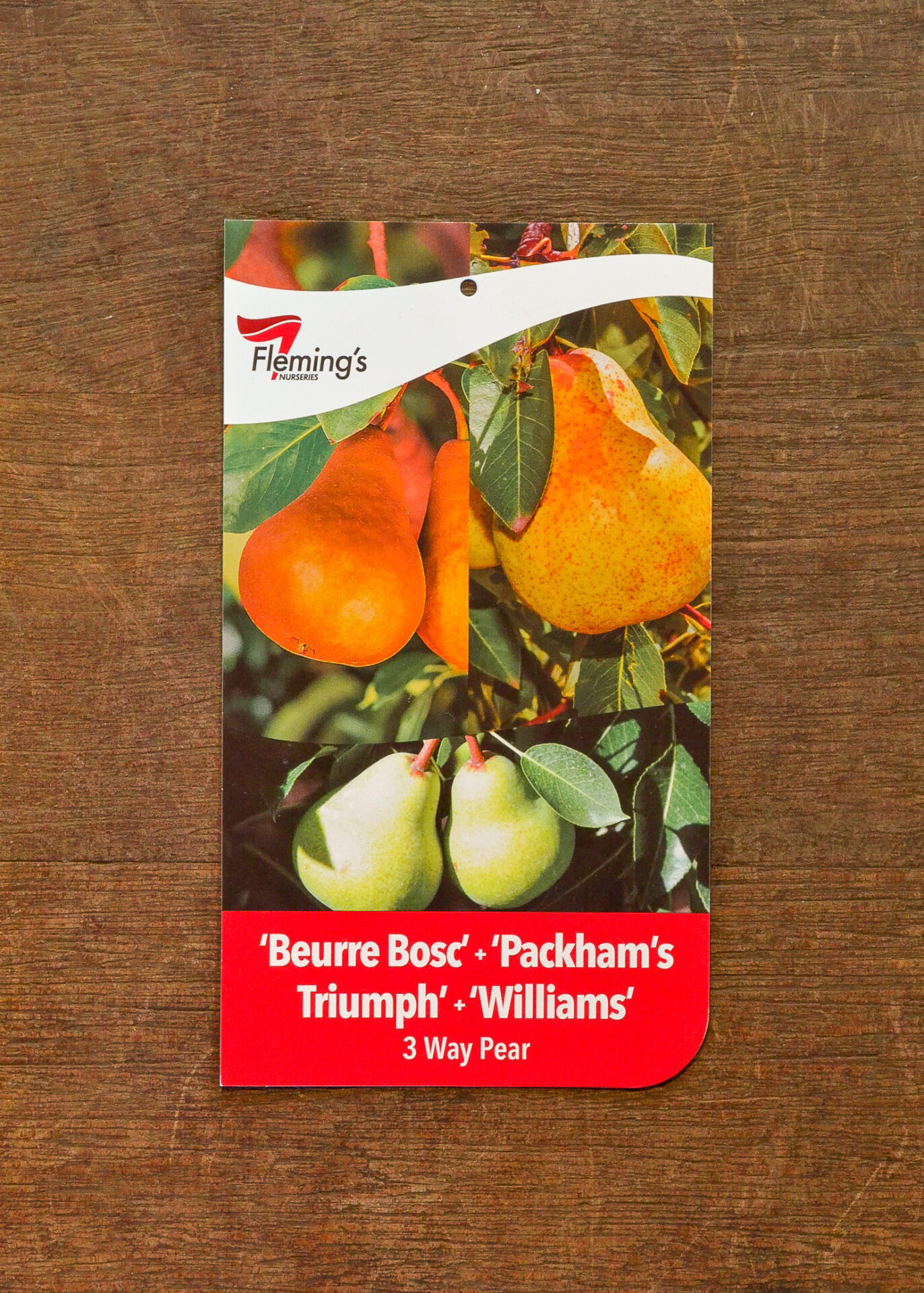 Buffum Pear Pear Multi Graft - Beurre Bosc/Packham's Triumph/Williams - Guildford ...