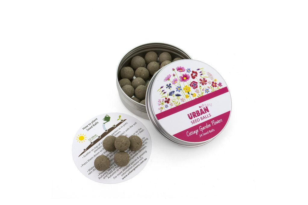 Seed Balls - Tin of 24 - Image 4