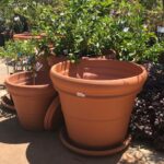 Pot - Doppio - Terracotta - Image 2