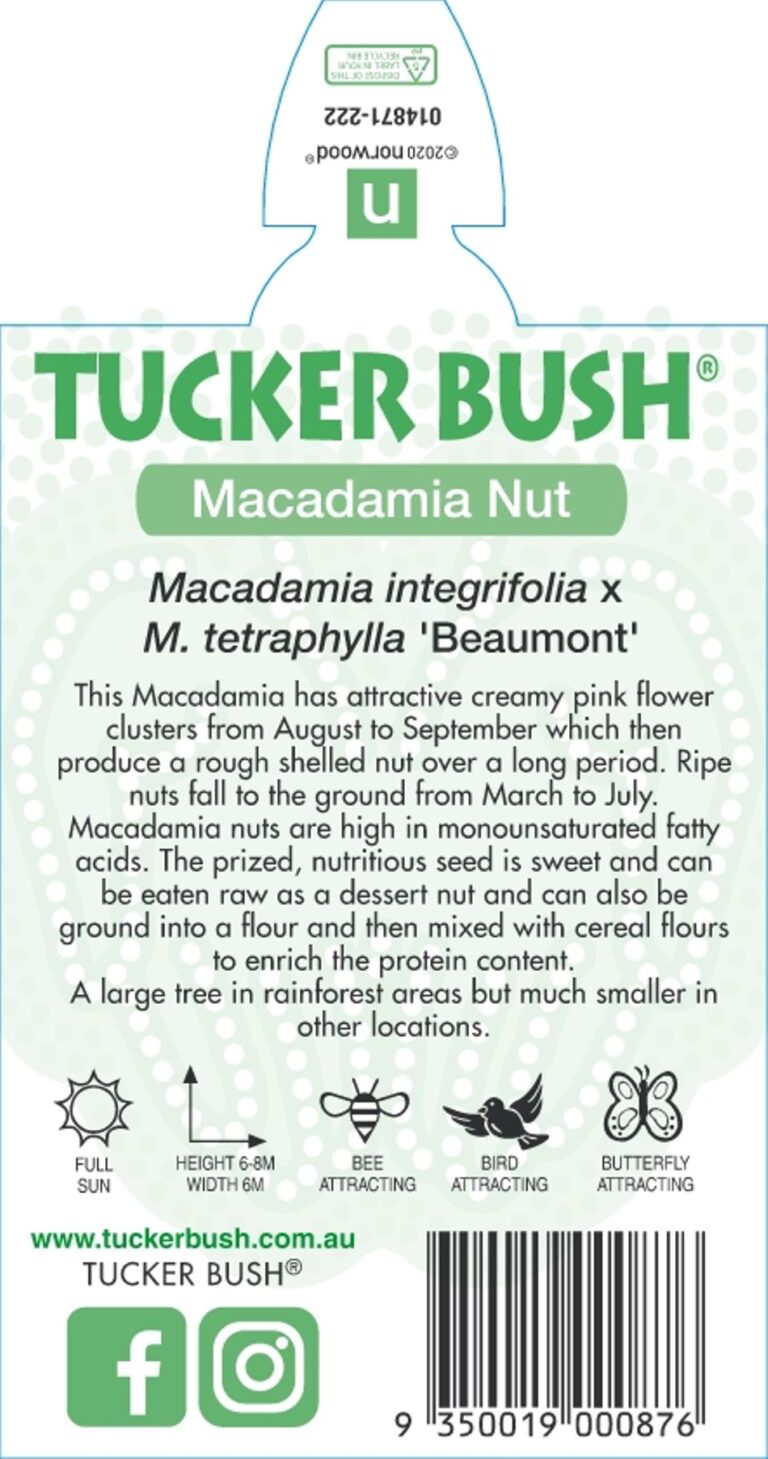 Macadamia - Beaumont - Image 2