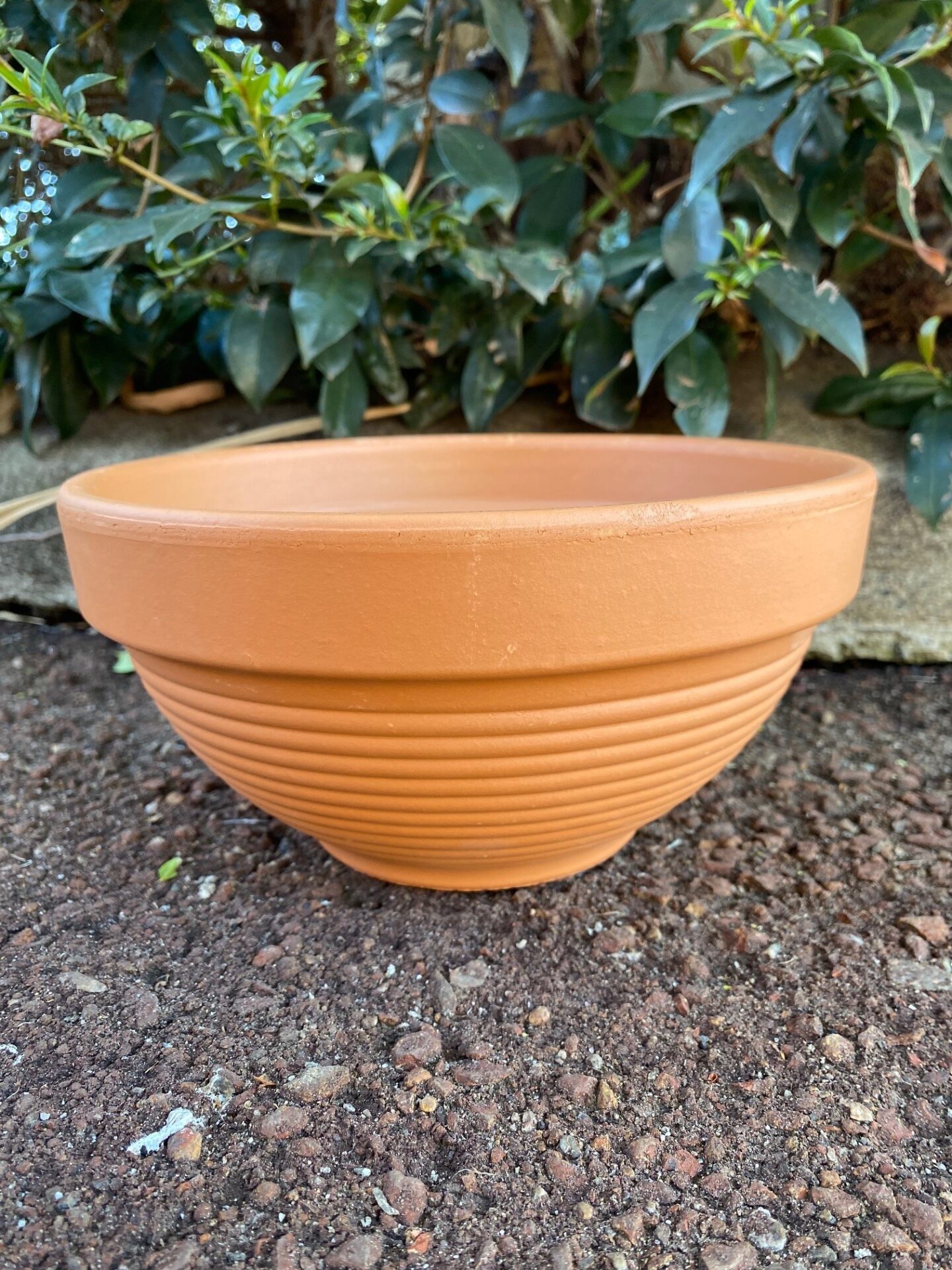Pot Gigante Terracotta Guildford Garden Centre