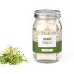 Urban Greens Sprout Kit - Grow Your Own - Image 6
