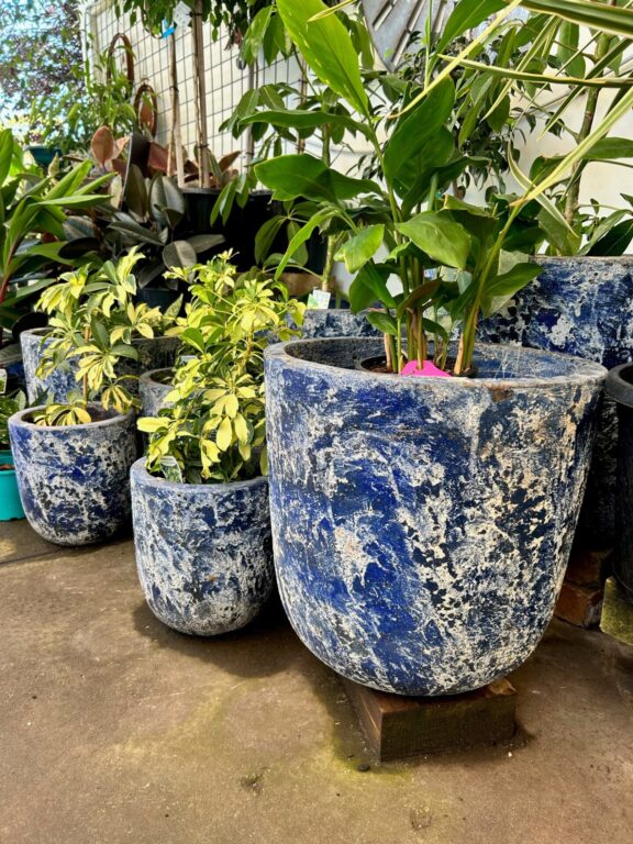 Pot - Atlantis Squat U Pot Azure Blue - Ceramic