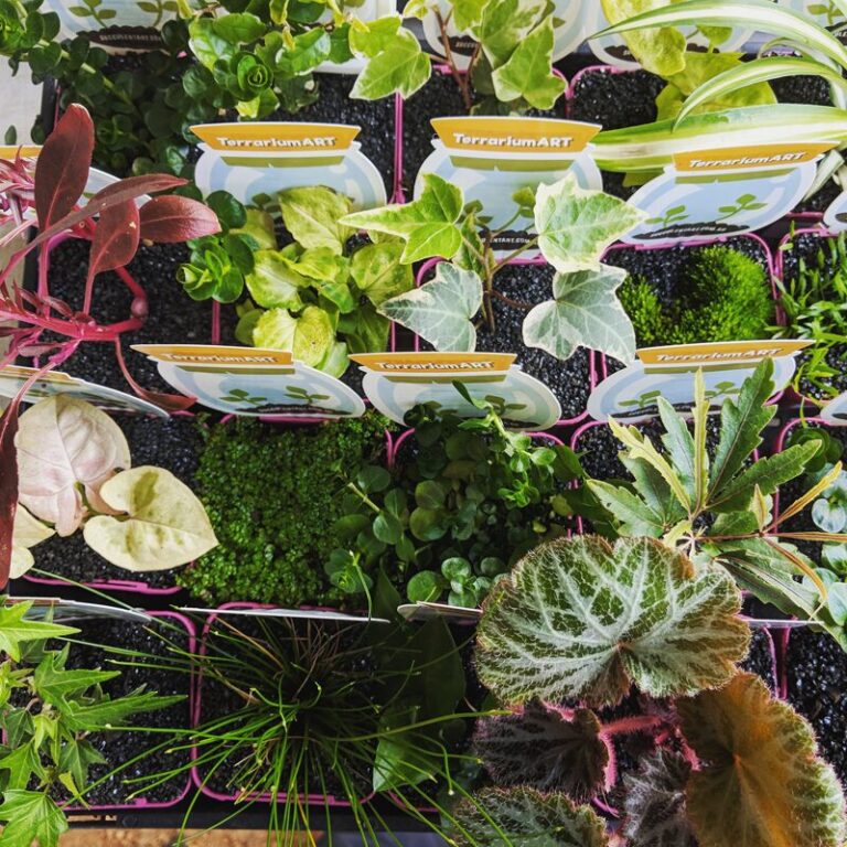 Terrarium Art - Tubestock