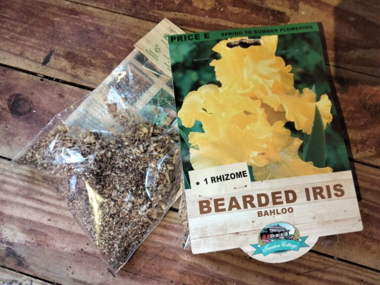 Bearded Iris - Bahloo - Bulbs