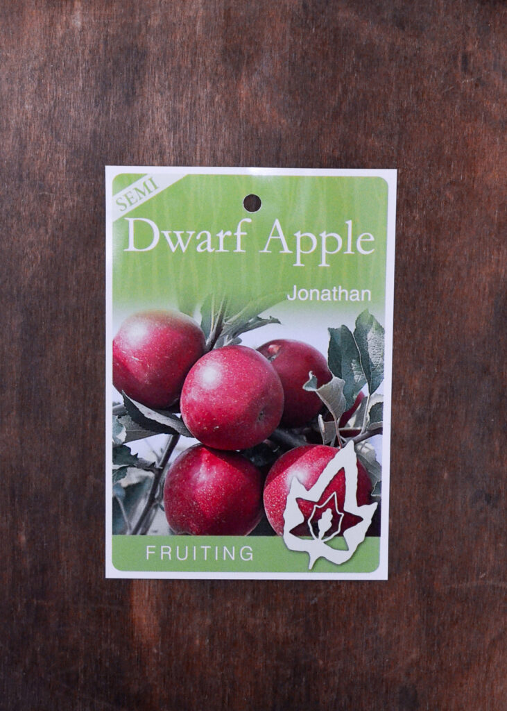 Apple - Jonathan Semi Dwarf