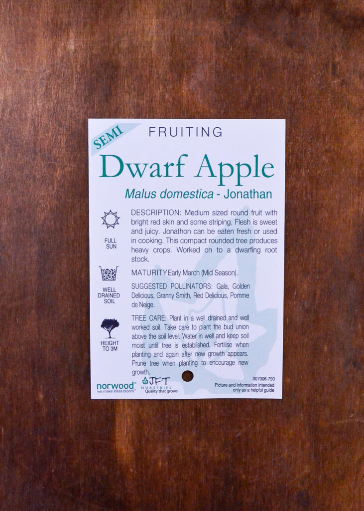 Apple - Jonathan Semi Dwarf - Image 2