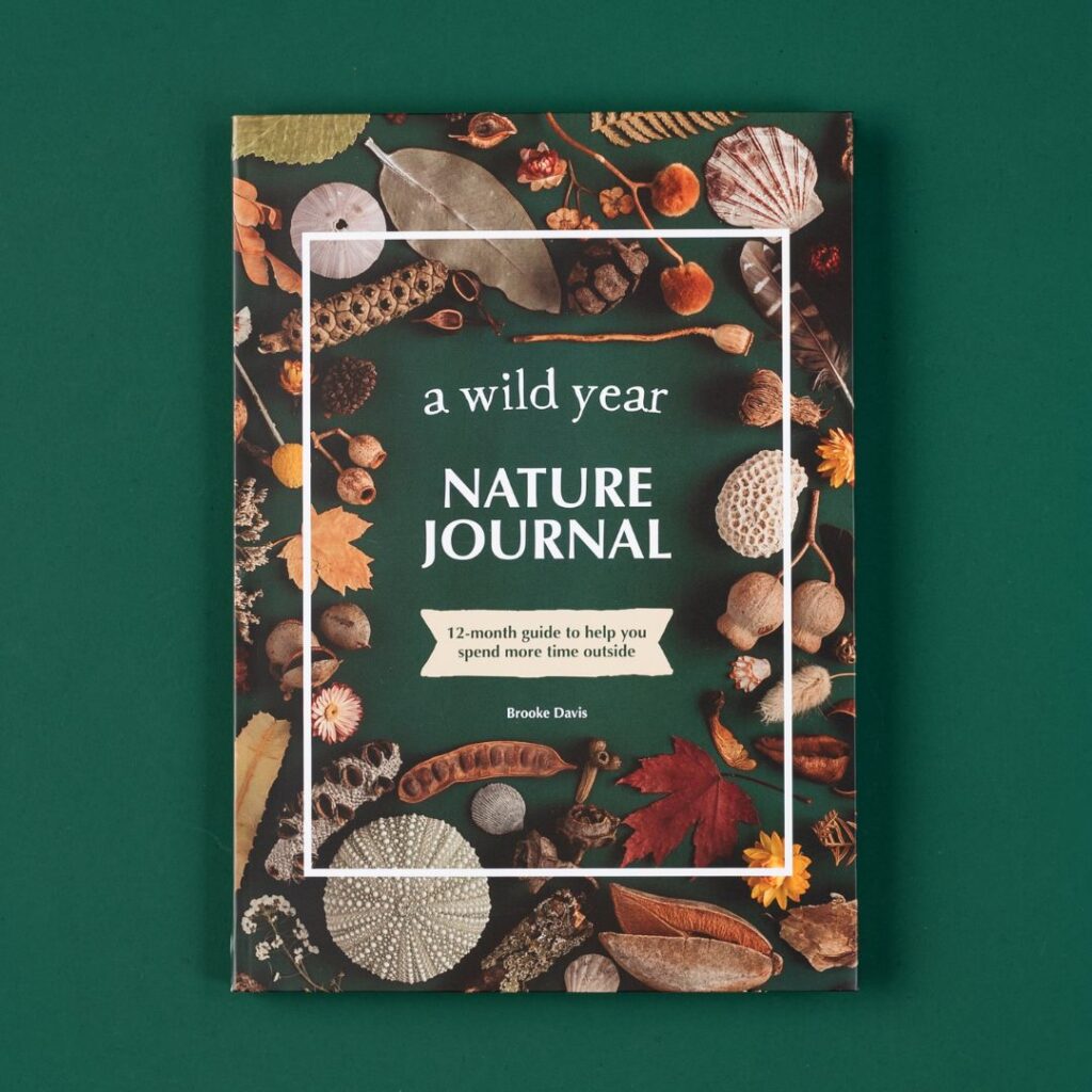 Book - A Wild Year - Journal