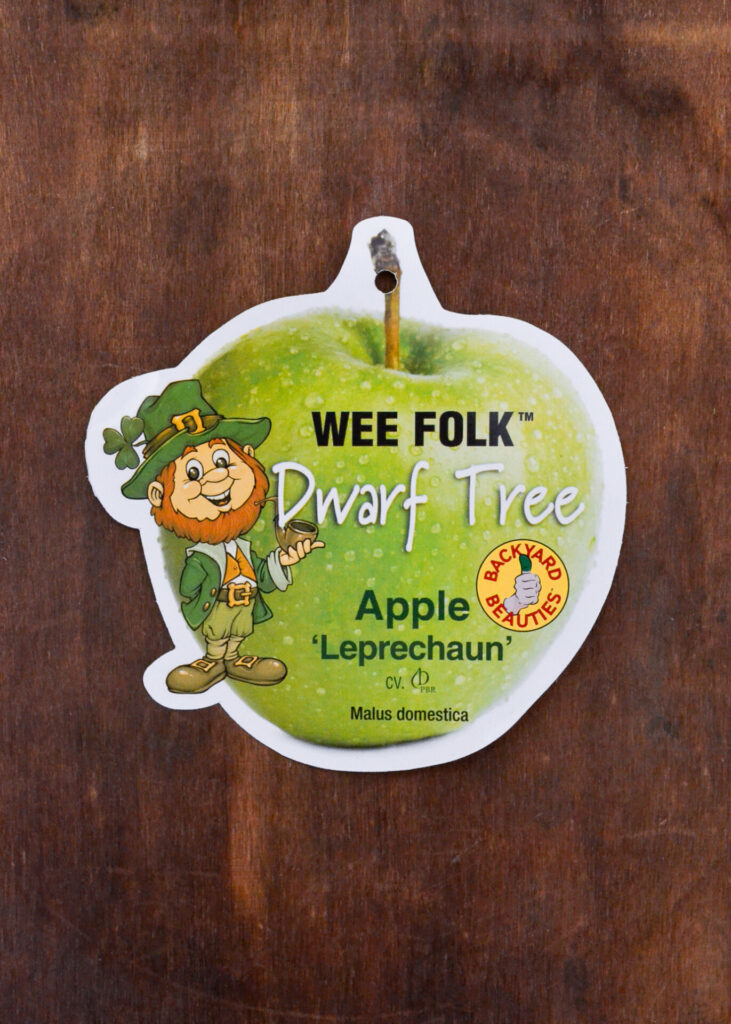 Apple - Leprechaun™ (Dwarf Granny Smith)