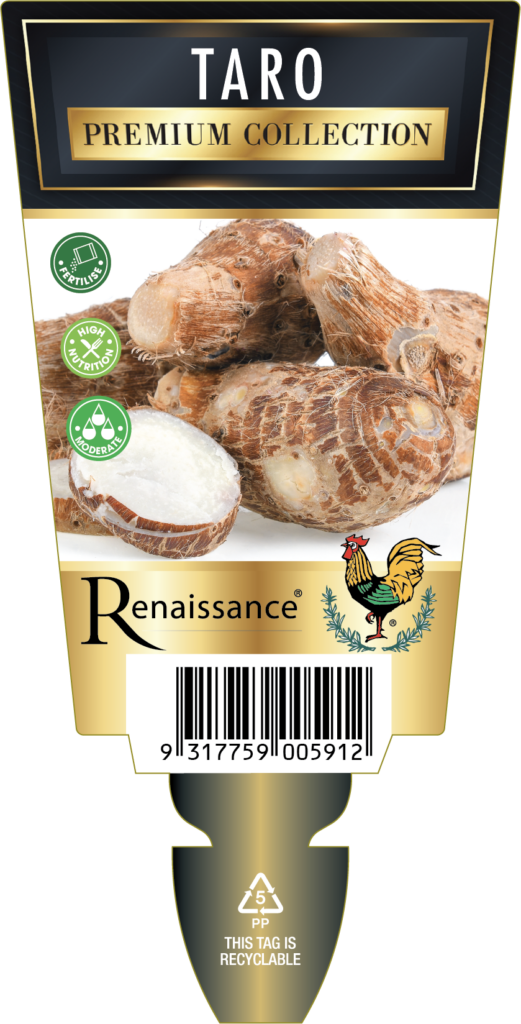 Taro - Edible - Premium Collection