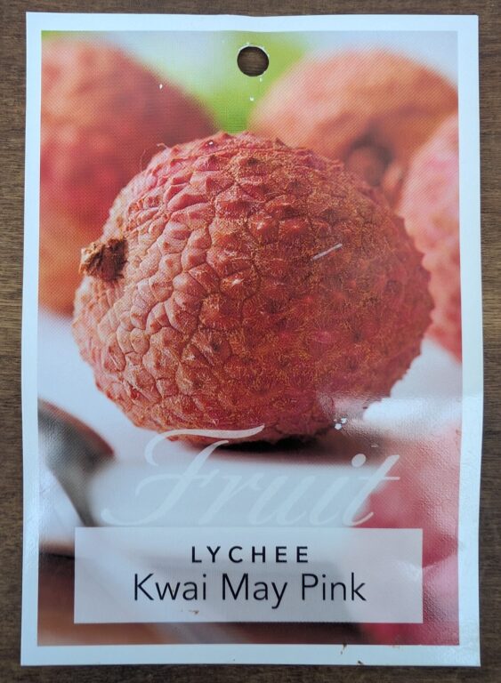 Lychee - Kwai Mai Pink
