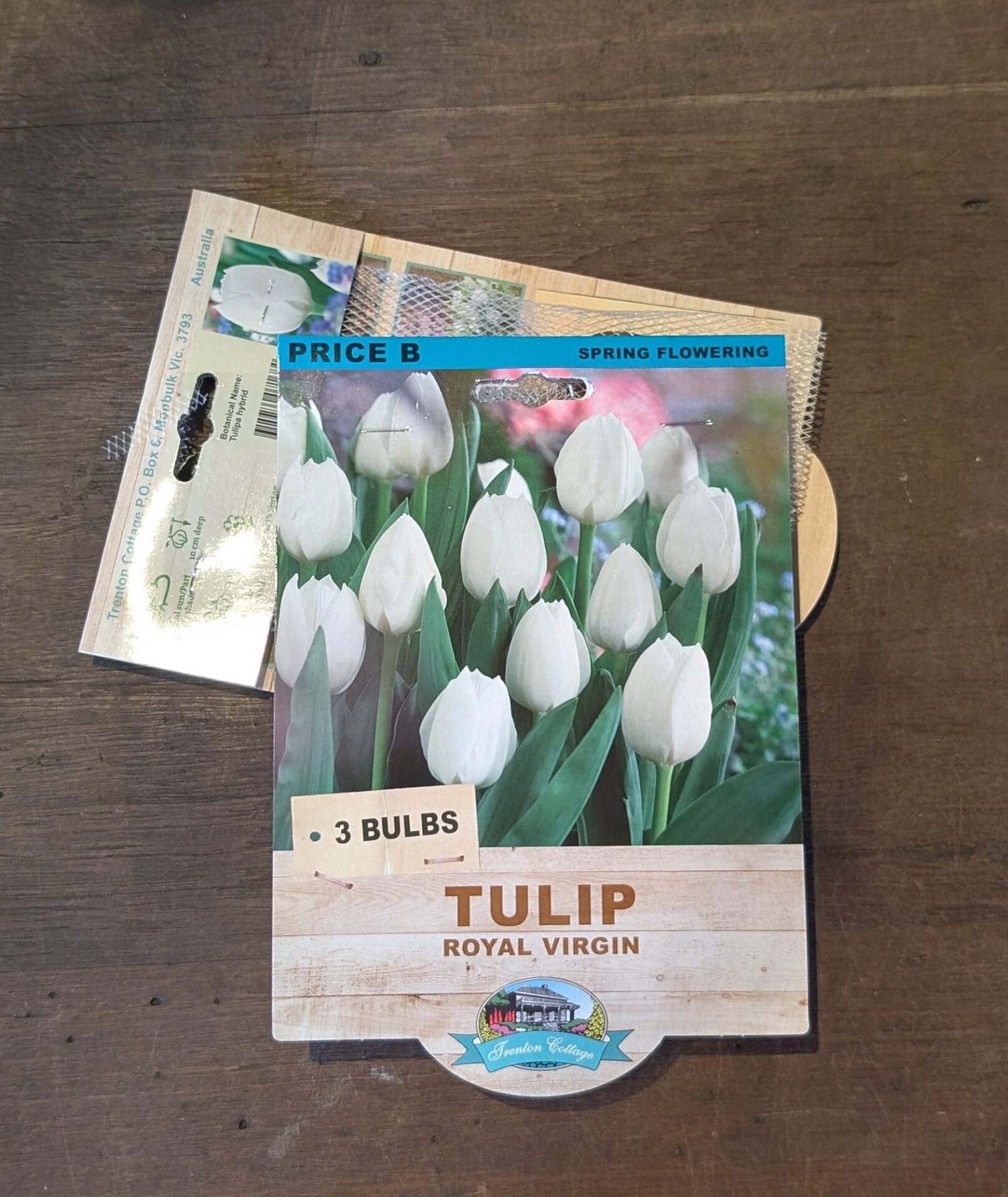 Tulip - Royal Virgin - Bulbs - Guildford Garden Centre