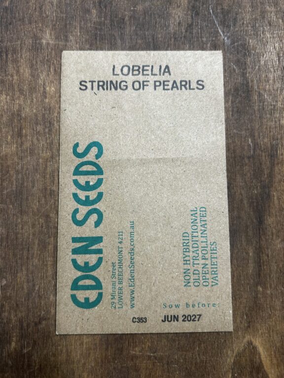 Lobelia - String of Pearls - Eden Seeds