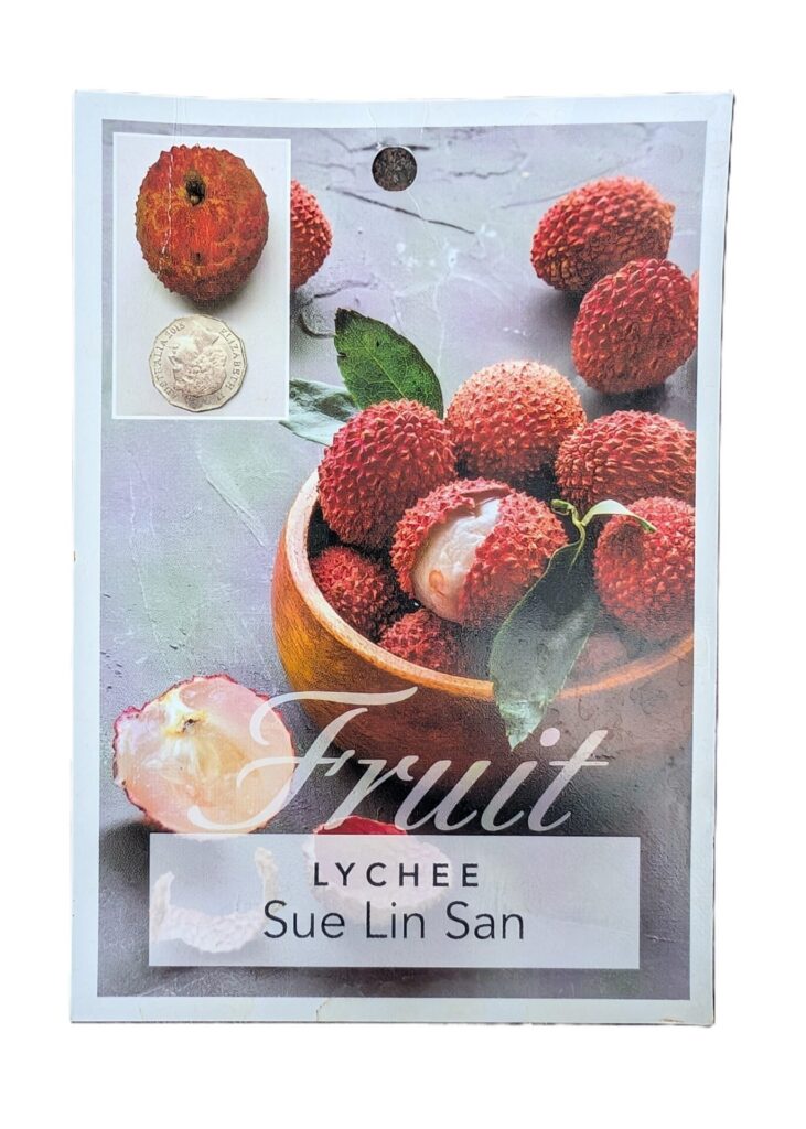 Lychee - Sue Lin San - Seedless