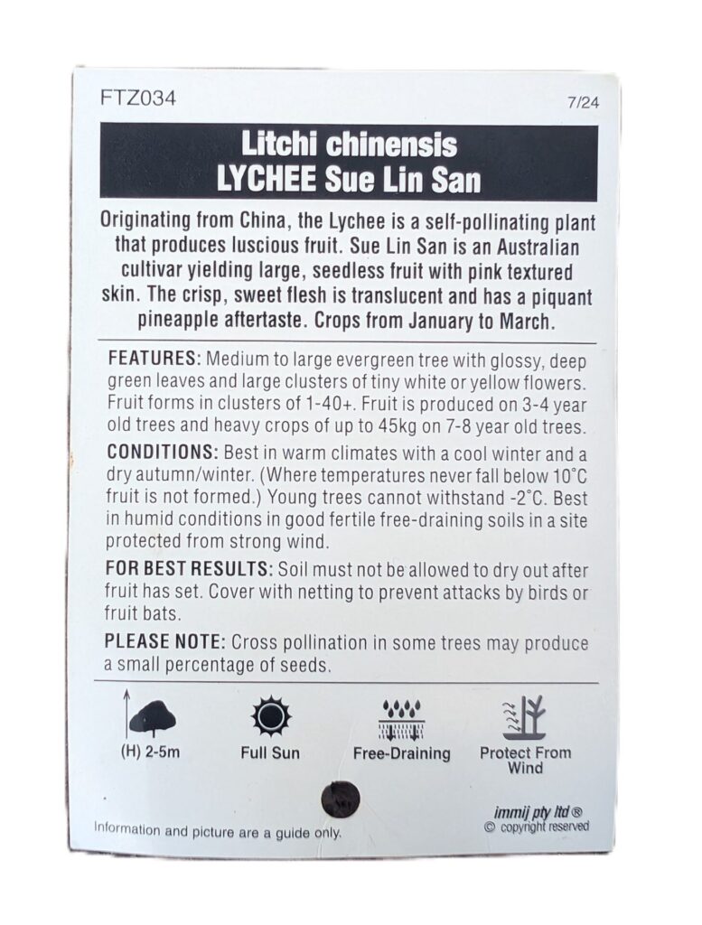 Lychee - Sue Lin San - Seedless - Image 2