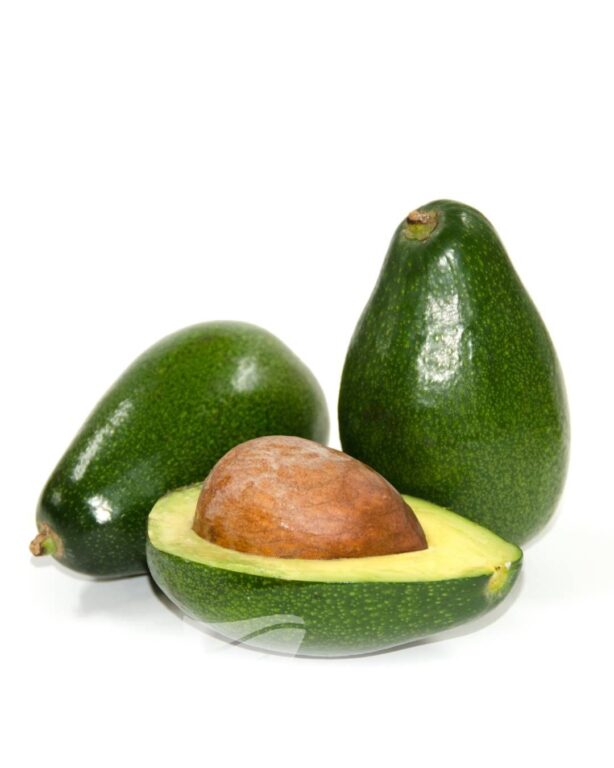 Avocado - Bacon Grafted (B)