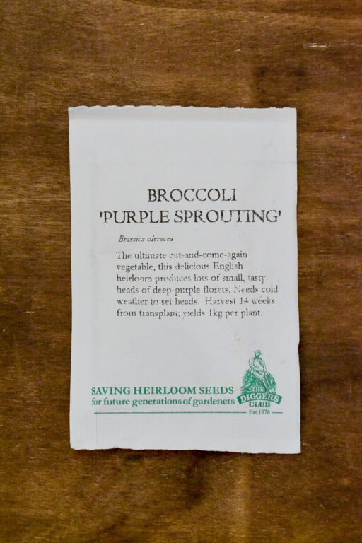 Broccoli - Purple Sprouting - Diggers Seeds