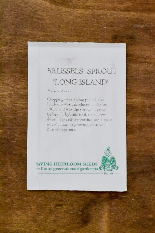 Brussel Sprout - Long Island - Diggers Seeds