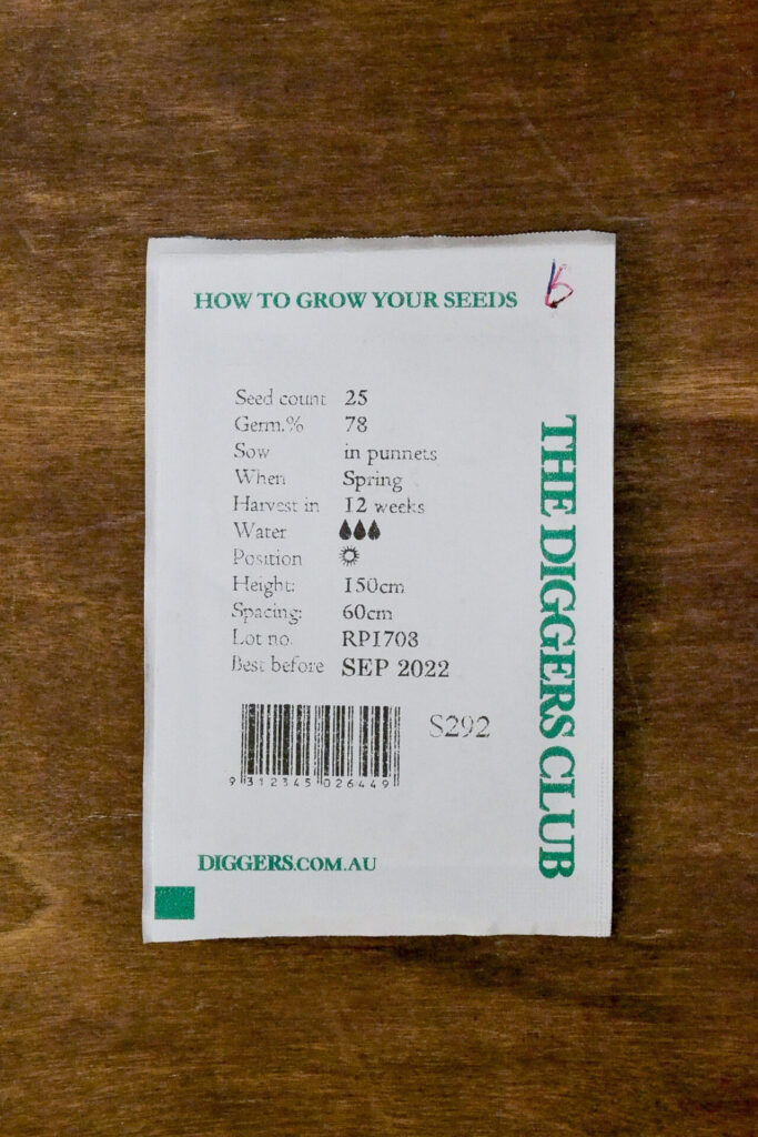 Tomato - Mortgage Lifter - Diggers Seeds - Image 2