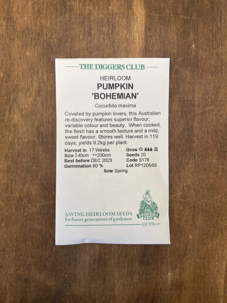 Pumpkin - Heirloom Bohemian - Diggers Seeds