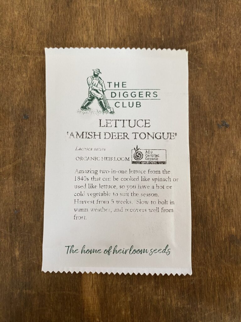 Lettuce - Amish Deer Tongue - Diggers Seeds